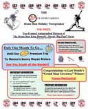 Webb Flyer